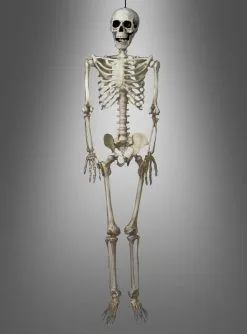 Skelett 90cm Hängende Halloween Deko